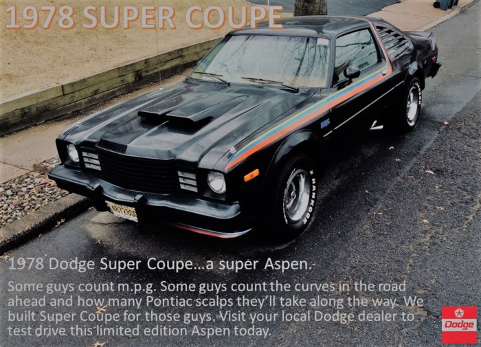 Super Coupe Oak Ad Sauna.jpg