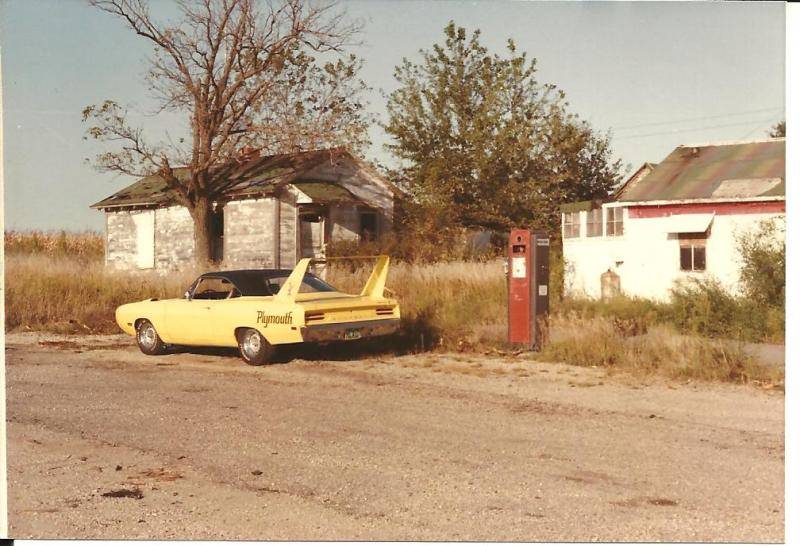 superbird 001.jpg