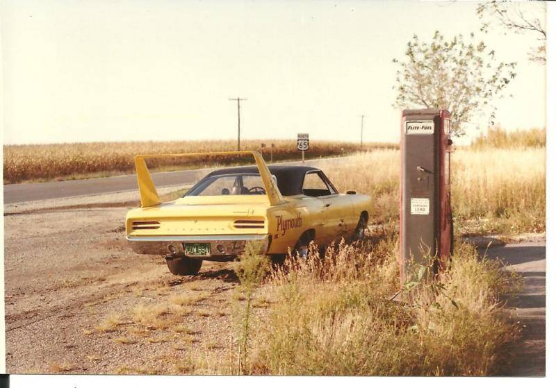 superbird 002.jpg