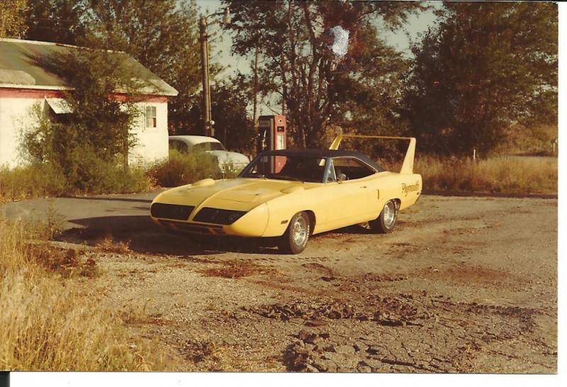 superbird 003.jpg