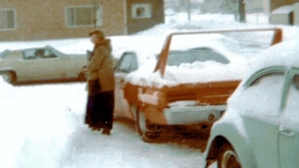 superbird.png