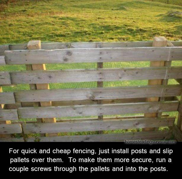 tip.jpg