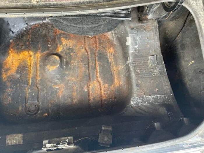 trunk.jpg