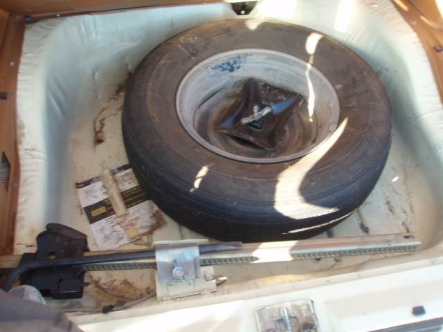 Trunk Pan OY.jpg