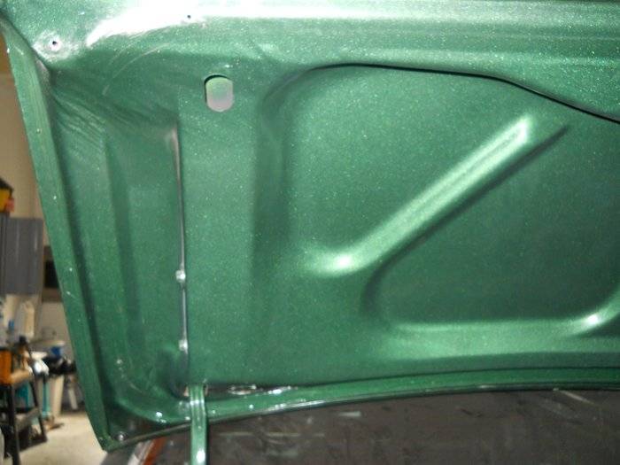 trunk2.jpg