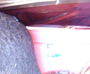 trunk3.jpg
