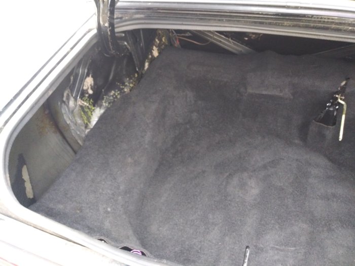 trunkleft.jpg