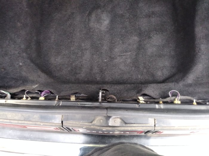 trunktaillight.jpg