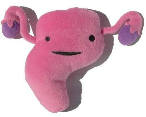 Uterus_Plush_Toy-1.jpg