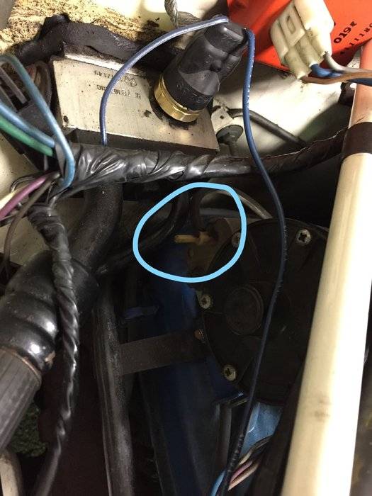Vacuum amplifier_LI.jpg