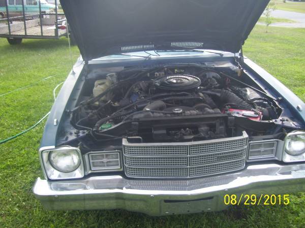 wagon.jpg