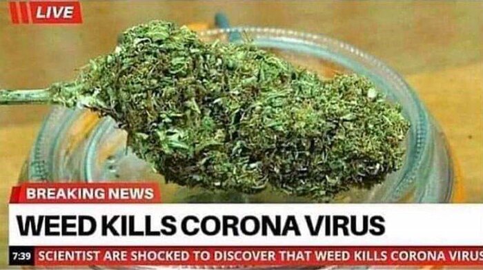 weedkillscoronavirus.jpg