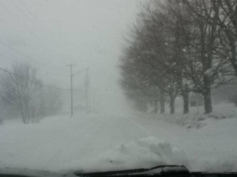 winter.jpg