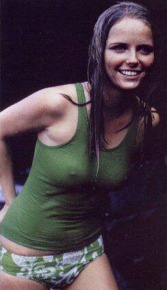 x-old-skool-cheryl-tiegs-hot-women-12183674-244-423-1.jpg