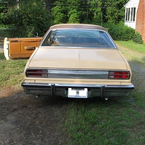 IMG_2819 (2).JPG