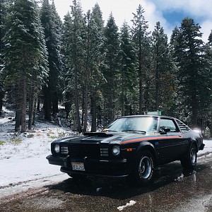 Magic Bean The Dodge Super Coupe