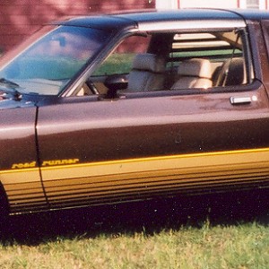 1979 Road Runner - Travis' 3.jpg