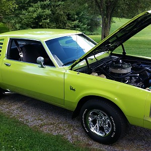 1980 Dodge Aspen 318