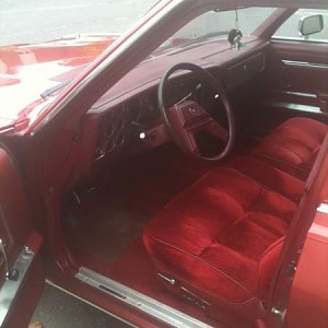 zzcomfort.jpg zzcomfort.jpg