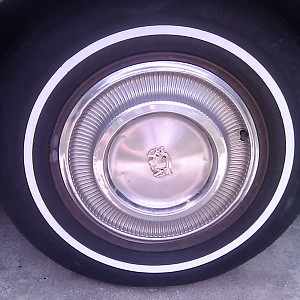 IMG_20190729_164240.jpg IMG_20190729_164240.jpg