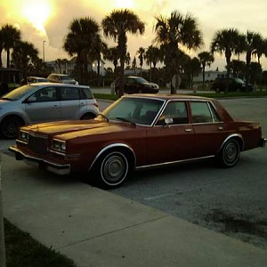 IMG_20180910_193354.jpg IMG_20180910_193354.jpg