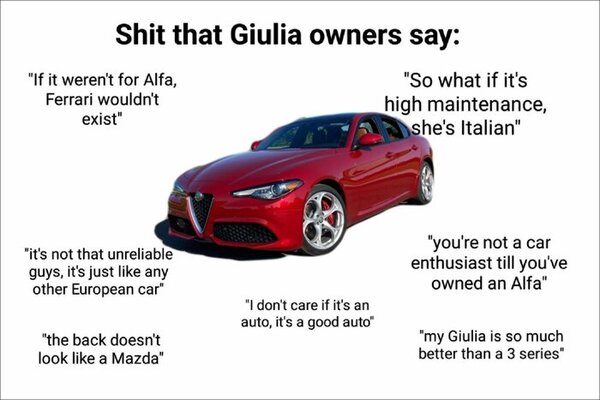 gotta-love-alfa-romeo-v0-xqky1vjjcmpa1.jpg