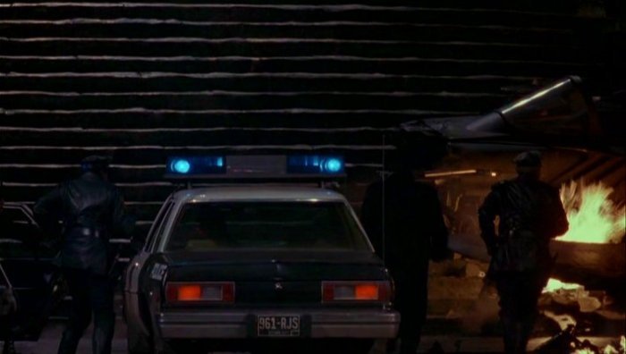 batmanpolicevolare2.2446.jpg