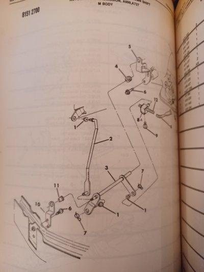 20241015_175908.jpg