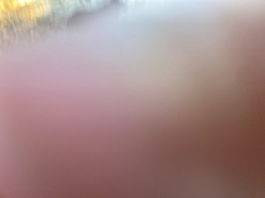 carpic6.jpg