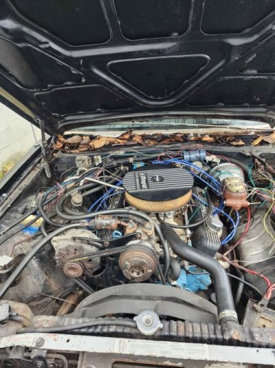 81Imp_04.jpg