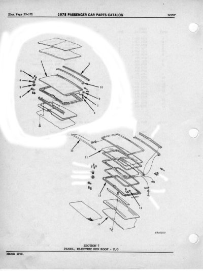 Sunroof 1.jpg
