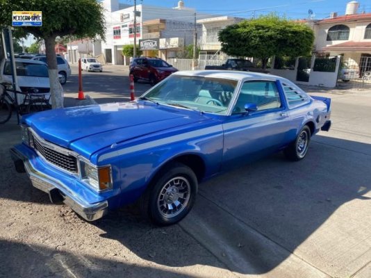 80superbee-CUL-blueI-01-lf.jpg