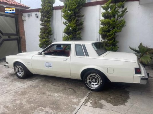 80dart-EDO-white7-02-left.jpg