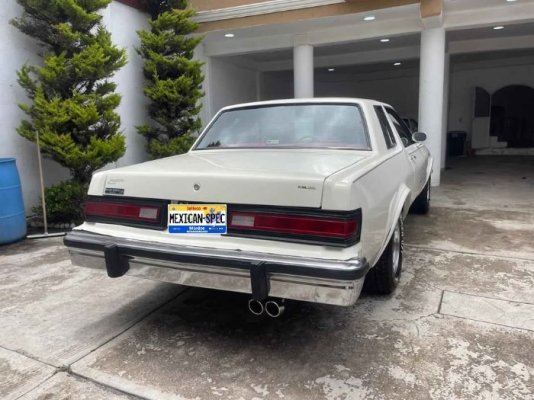 80dart-EDO-white7-08-rr.jpg