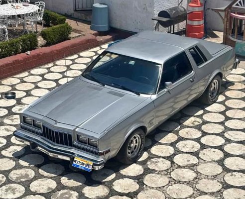 82magnum-GREY-dfJ-01-lf.jpg