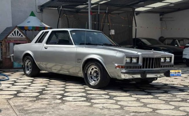 82magnum-GREY-dfJ-02-rf.jpg
