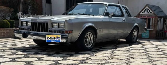 82magnum-GREY-dfJ-03-lf.jpg