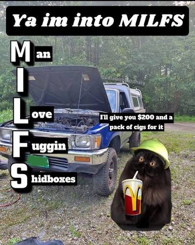 images (16) (7).jpeg