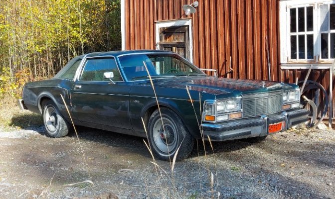 20221006_115614 – Kopi.jpg