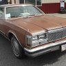 Roxy_the77diplomat