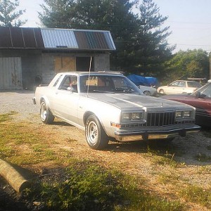 Dodge diplomat 1981